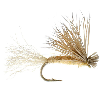 The Fly Fishing Place 3 Pack Tan X Caddis Emerging Caddis Adult Trout Dry Fly - Hook Size 16 - Angler's Pro Tackle & Outdoors