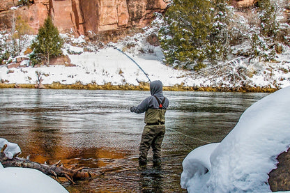 The Fly Fishing Place 3 Pack Tungsten Bead Jig Tasmanian Devil Tactical Czech Nymph Euro Nymphing Fly - Size 16 - Angler's Pro Tackle & Outdoors