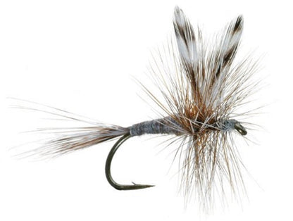 The Fly Fishing Place Adams Classic Dry Fly - 1 Dozen Flies Hook Size 10 - Angler's Pro Tackle & Outdoors