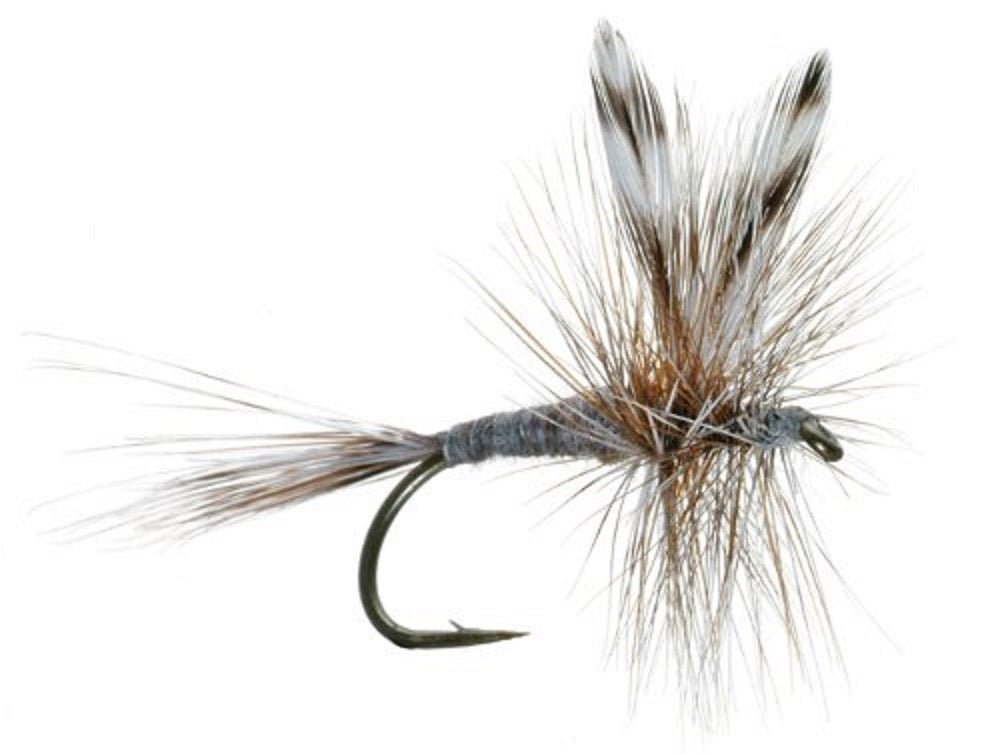 The Fly Fishing Place Adams Classic Dry Fly - 1 Dozen Flies Hook Size 14 - Angler's Pro Tackle & Outdoors