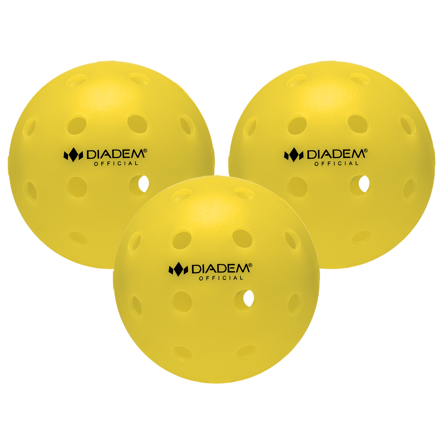 The Official Pickleball - Angler's Pro Tackle & Outdoors