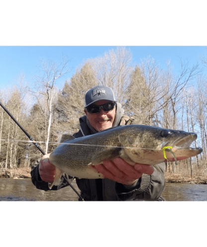 WM Bayou The Tadler