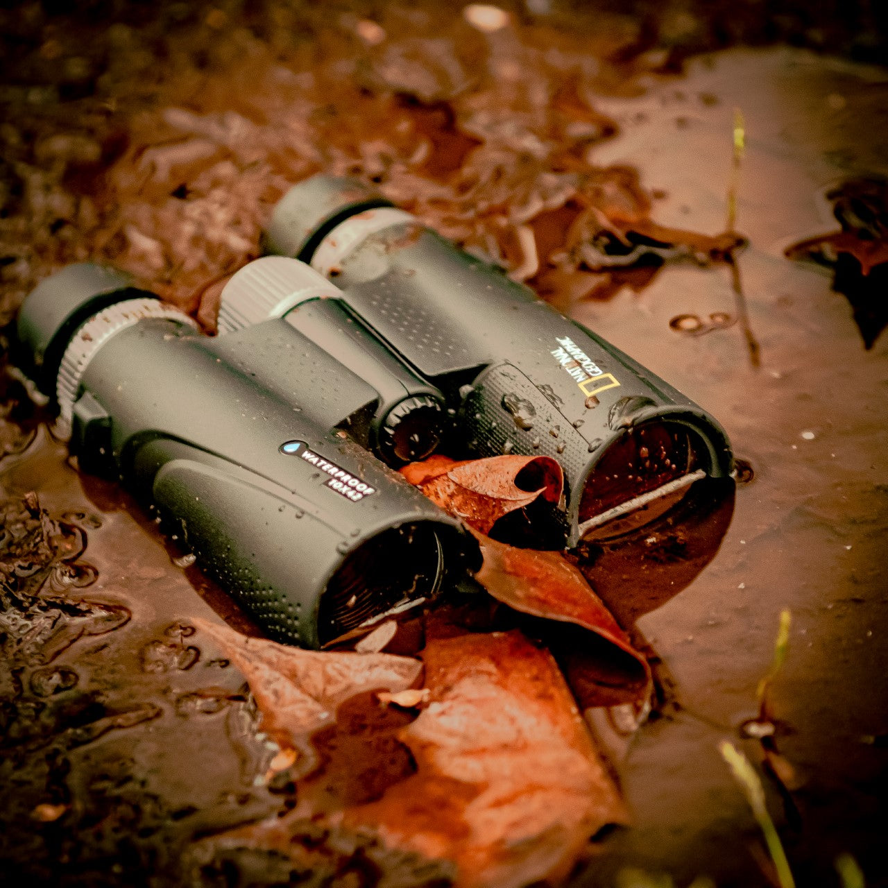 Explore Scientific 10x42 Waterproof Performance Roof Binoculars and Harness