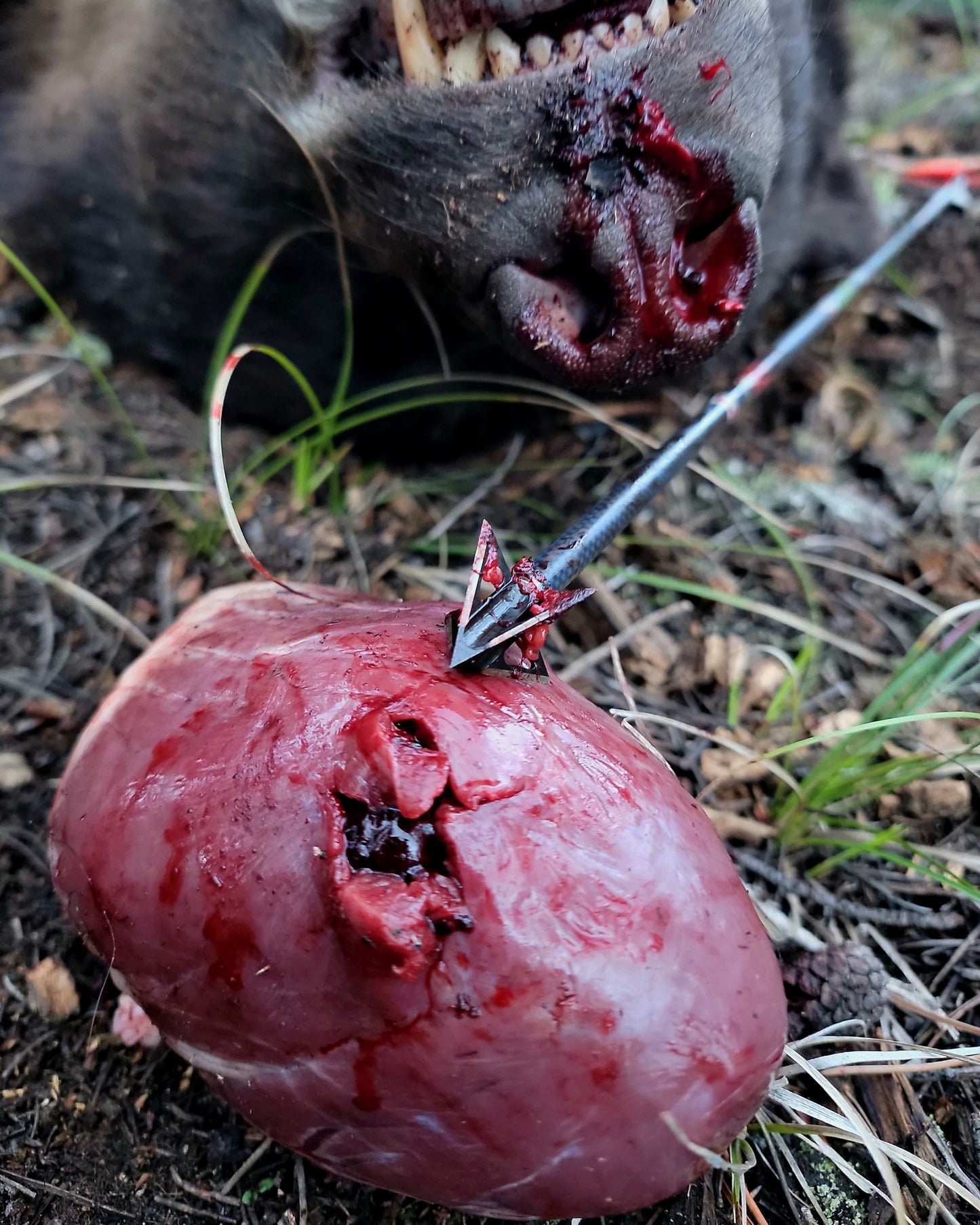 TOTA | 100 grain XL broadhead | 1-3/16-inch vented | fixed blade