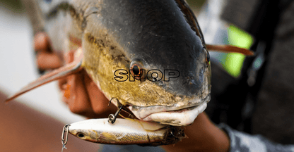 Topwater Co Speed Clips (15 - 45 - 70 - 120lbs) - Angler's Pro Tackle & Outdoors