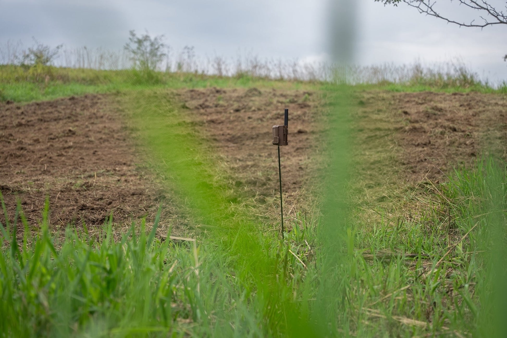 Trick Outdoors Universal Camera Stake - Angler's Pro Tackle & Outdoors