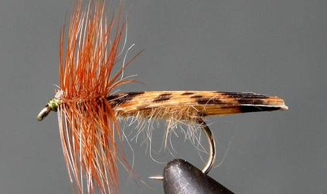 Stone Creek King River Caddis