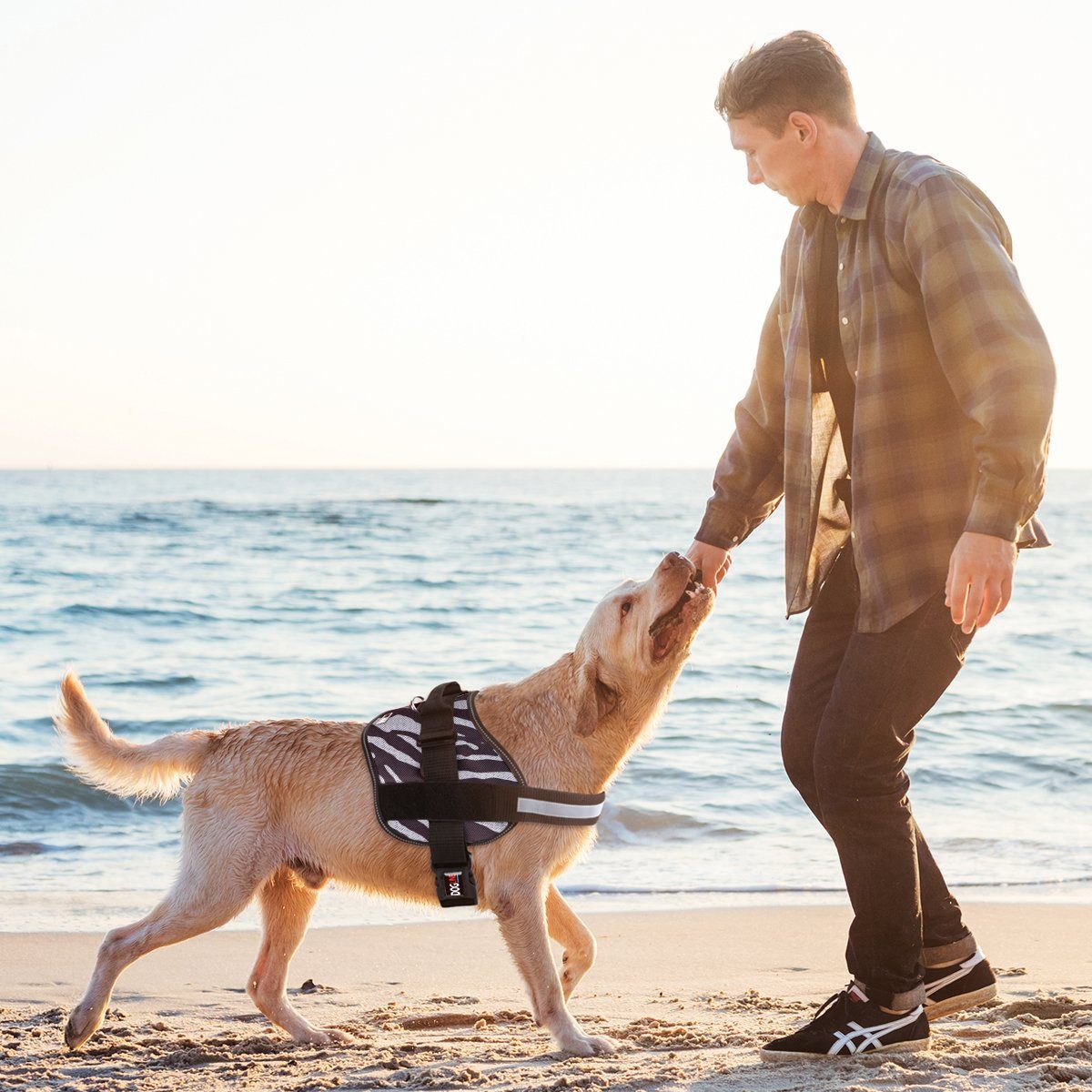 Unimax Multi - Purpose Harness - Angler's Pro Tackle & Outdoors