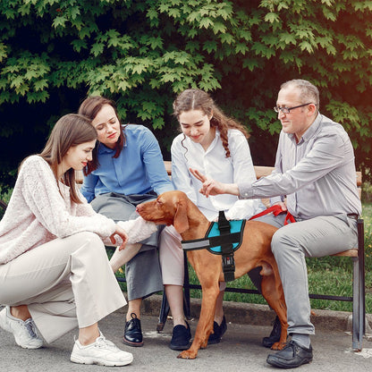 Unimax Multi - Purpose Harness - Angler's Pro Tackle & Outdoors