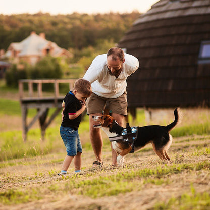 Unimax Multi - Purpose Harness - Angler's Pro Tackle & Outdoors