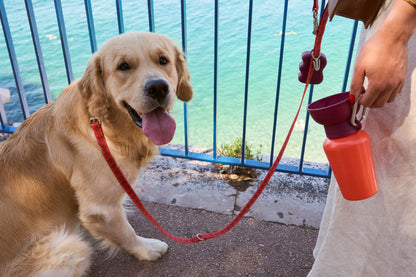 Springland Pets Waterproof Dog Leash - 5ft