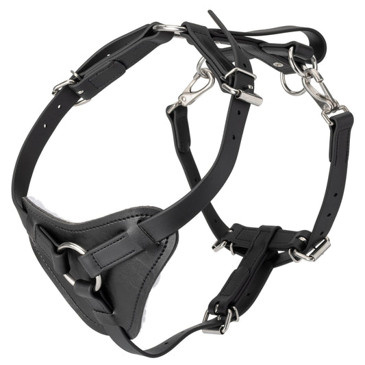 Viper Surge Biothane Working Dog Harness - Stainless Steel Hardware - Angler's Pro Tackle & Outdoors