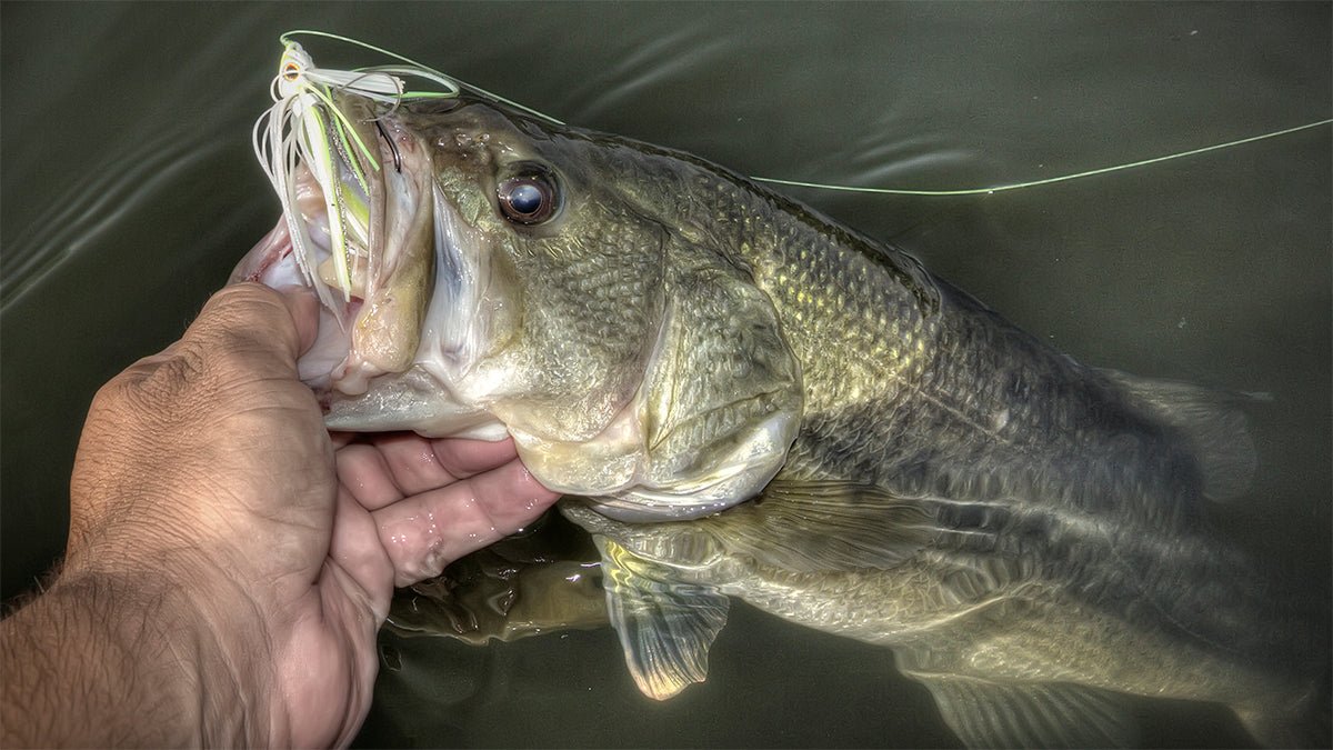 V&M Baits Pulse Swim Jig - Angler's Pro Tackle & Outdoors