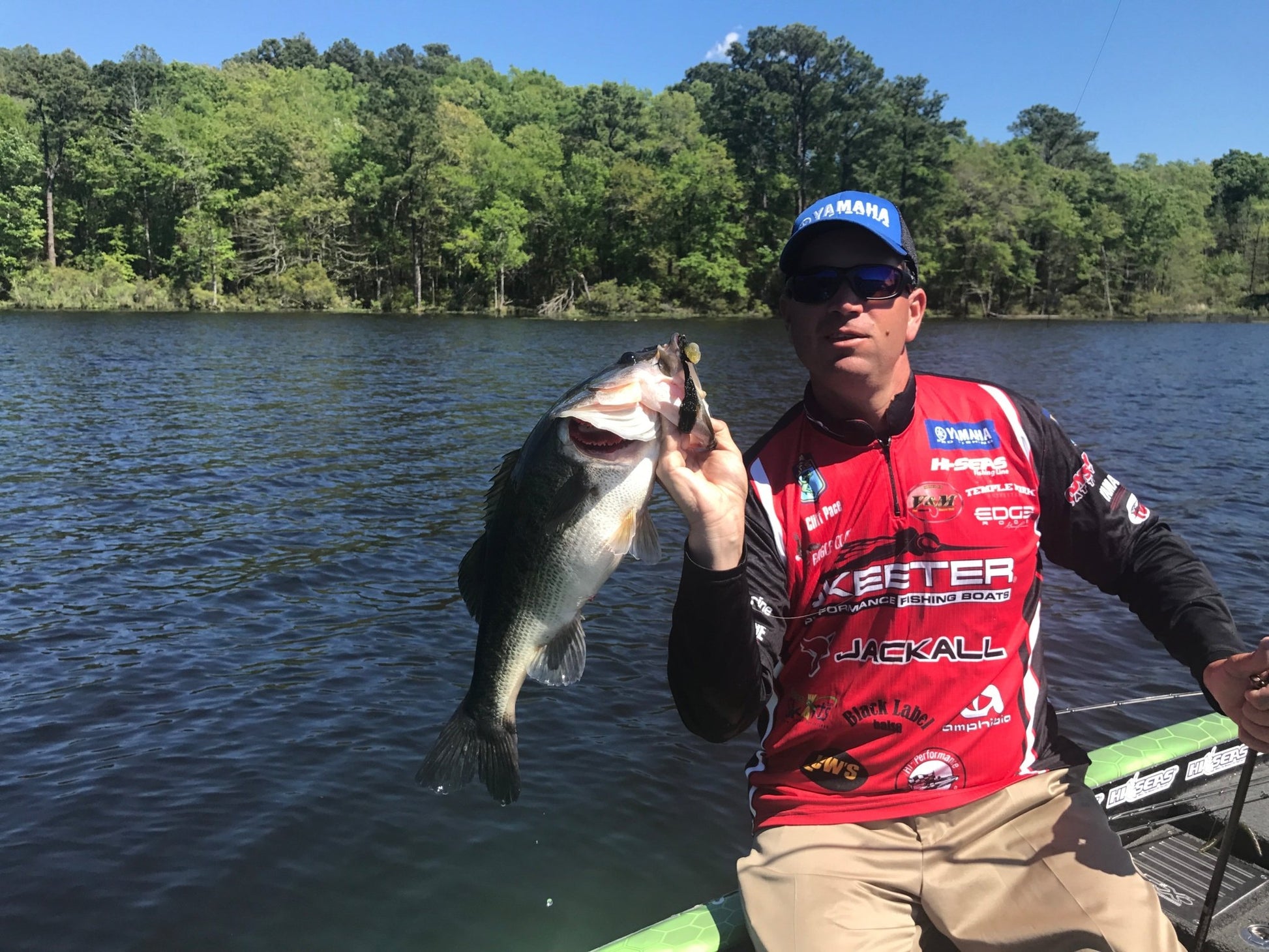 V&M Baits Thunder Shad - Angler's Pro Tackle & Outdoors