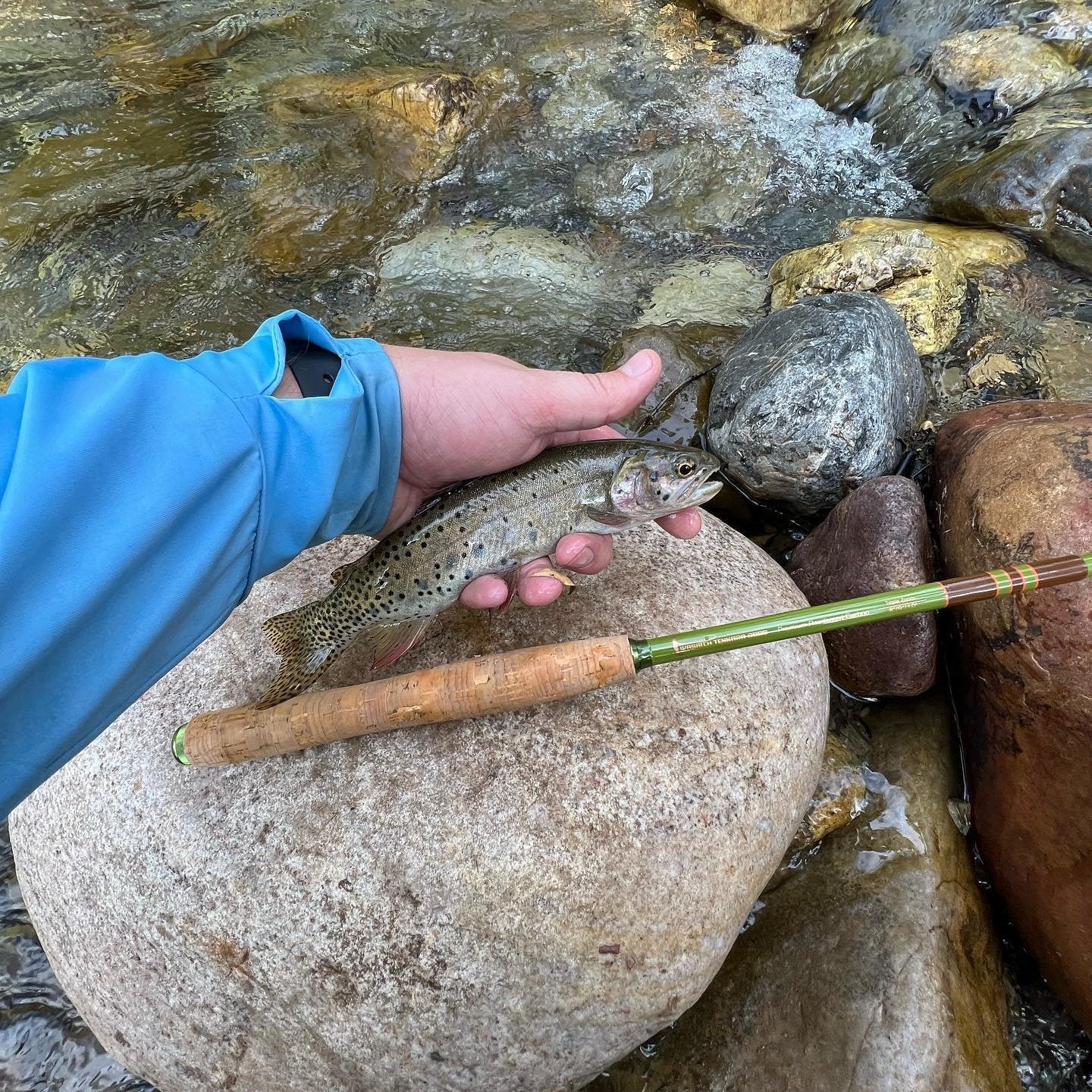 Wasatch "Baby" RodZilla Tenkara Rod - Angler's Pro Tackle & Outdoors