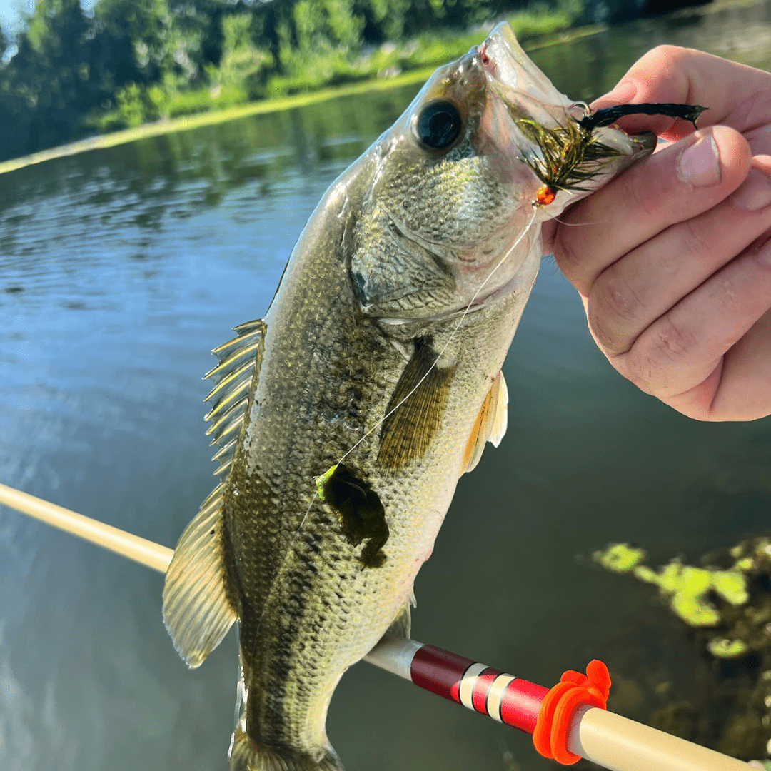 Wasatch Daikyu T - Hunter Tenkara Rod - Angler's Pro Tackle & Outdoors