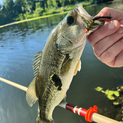 Wasatch Daikyu T - Hunter Tenkara Rod - Angler's Pro Tackle & Outdoors