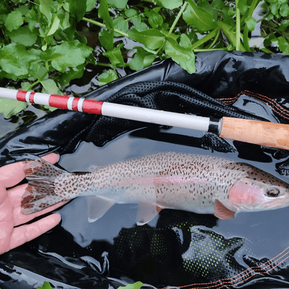 Wasatch Daikyu T - Hunter Tenkara Rod - Angler's Pro Tackle & Outdoors