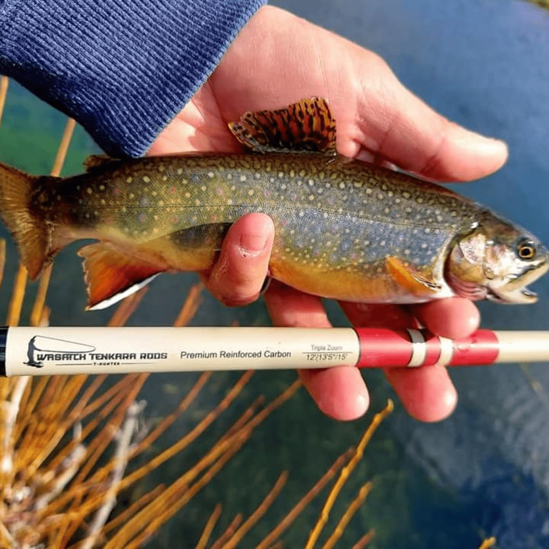 Wasatch Daikyu T - Hunter Tenkara Rod - Angler's Pro Tackle & Outdoors