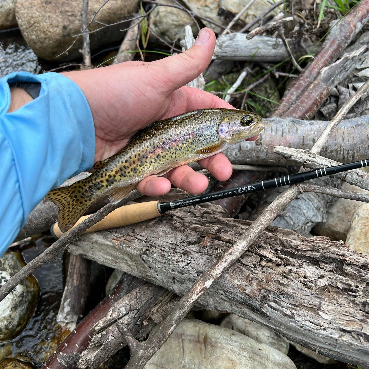 Wasatch Darth Quattro Tenkara Rod - Angler's Pro Tackle & Outdoors