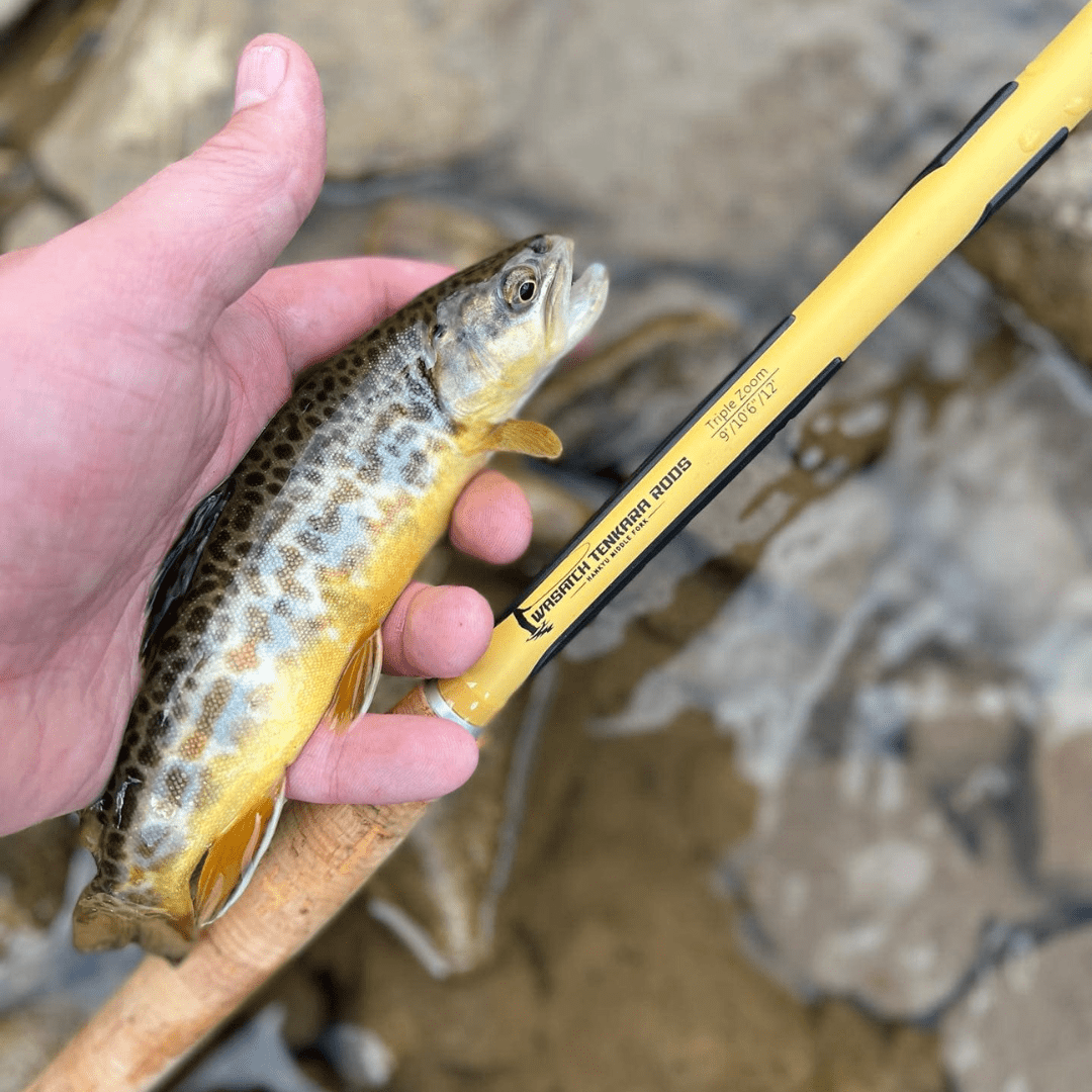 Wasatch Hankyu Middle Fork Tenkara Rod - Angler's Pro Tackle & Outdoors
