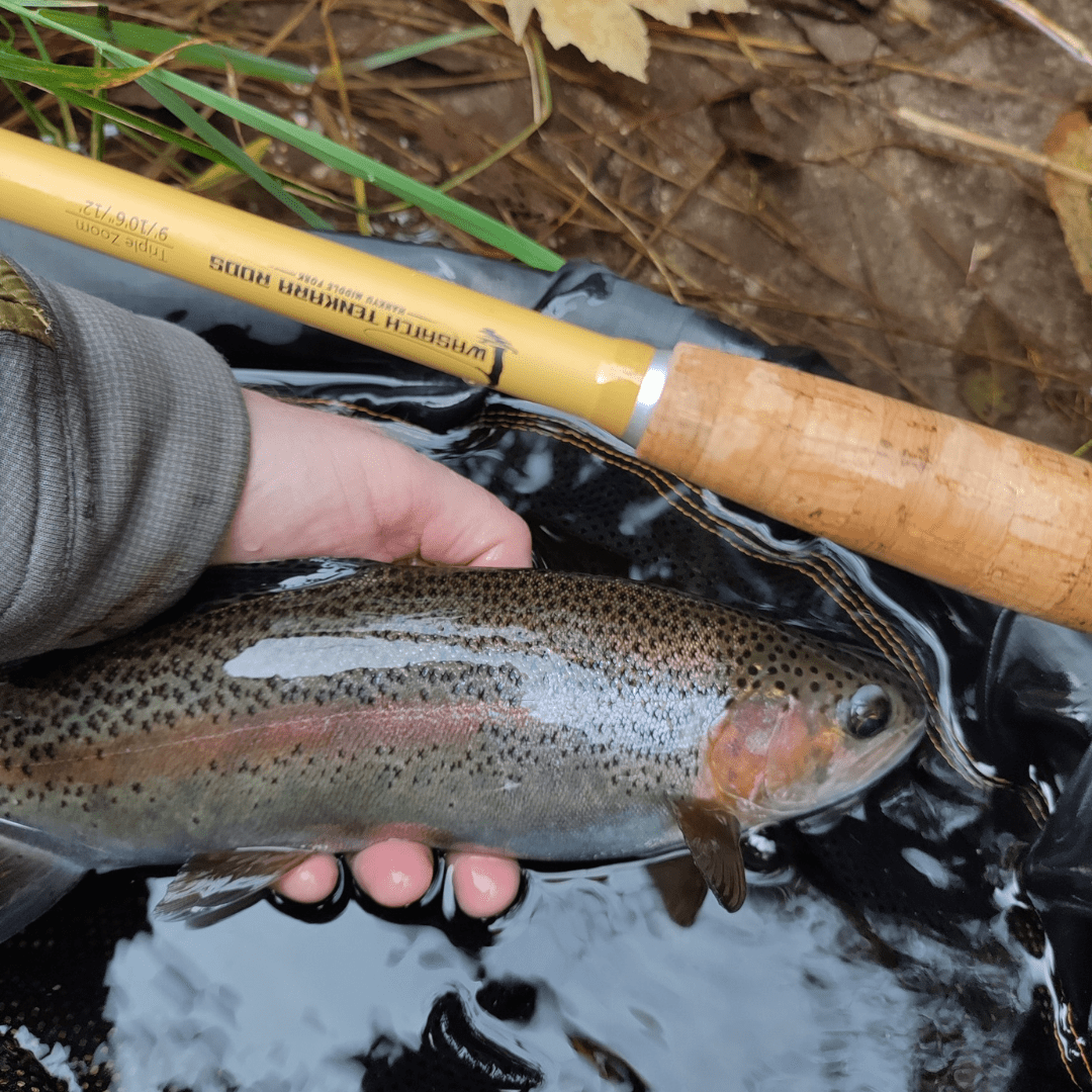 Wasatch Hankyu Middle Fork Tenkara Rod - Angler's Pro Tackle & Outdoors