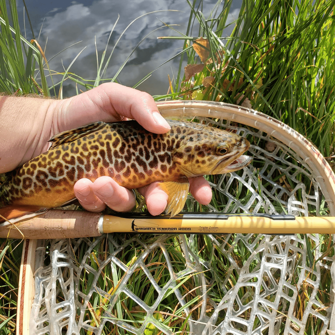 Wasatch Hankyu Middle Fork Tenkara Rod - Angler's Pro Tackle & Outdoors