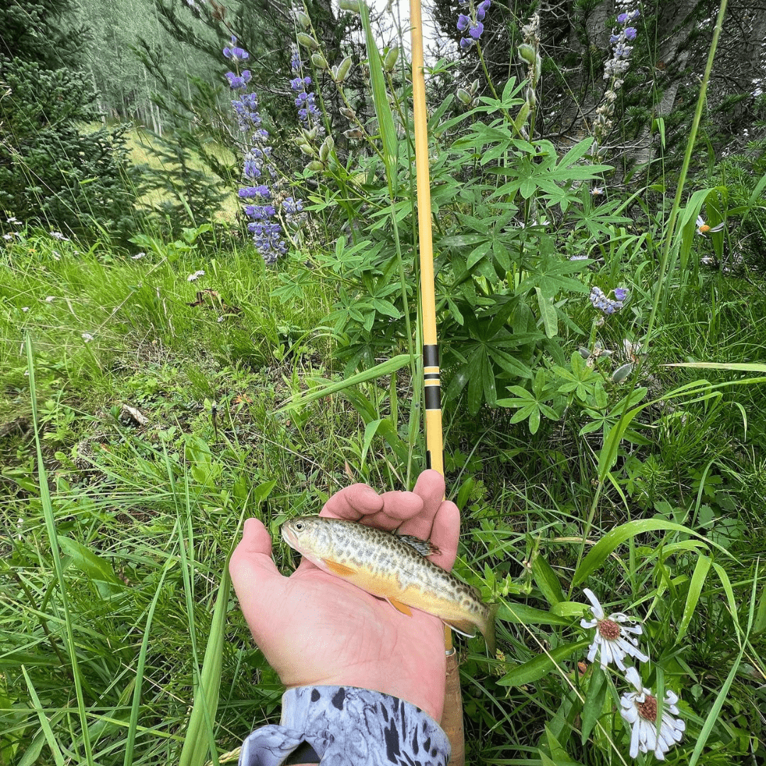 Wasatch Hankyu Middle Fork Tenkara Rod - Angler's Pro Tackle & Outdoors