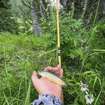 Wasatch Hankyu Middle Fork Tenkara Rod - Angler's Pro Tackle & Outdoors