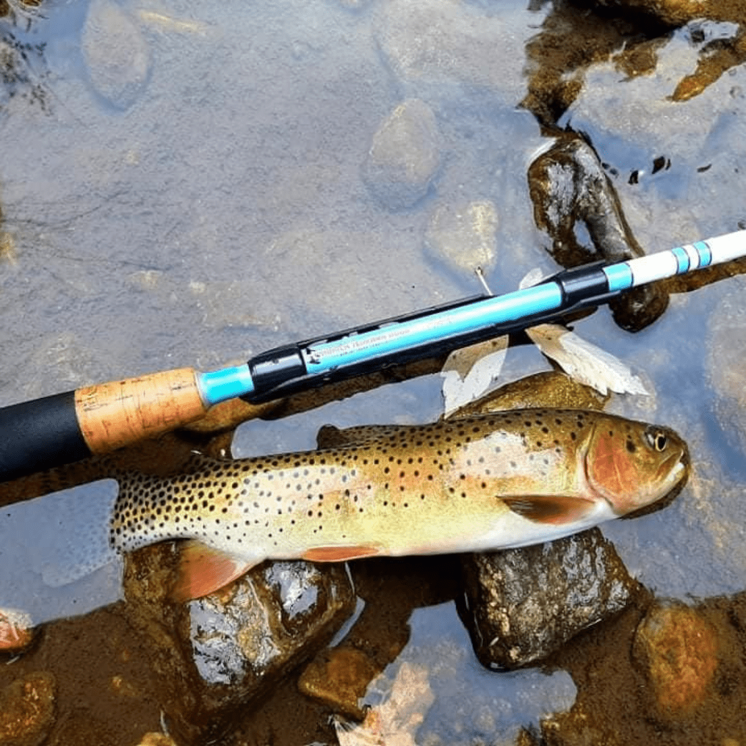 Wasatch Maruki Sharpshooter Tenkara Rod - Angler's Pro Tackle & Outdoors
