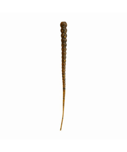 WM Bayou Whip Worm