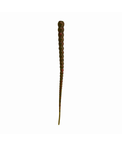 WM Bayou Whip Worm