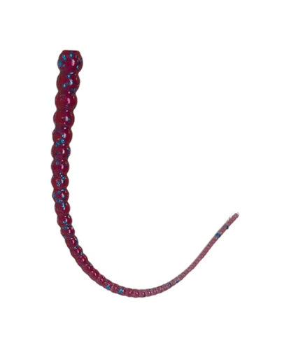WM Bayou Whip Worm