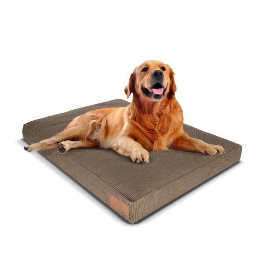 White Duck Outdoors - Dog Bed - Angler's Pro Tackle & Outdoors