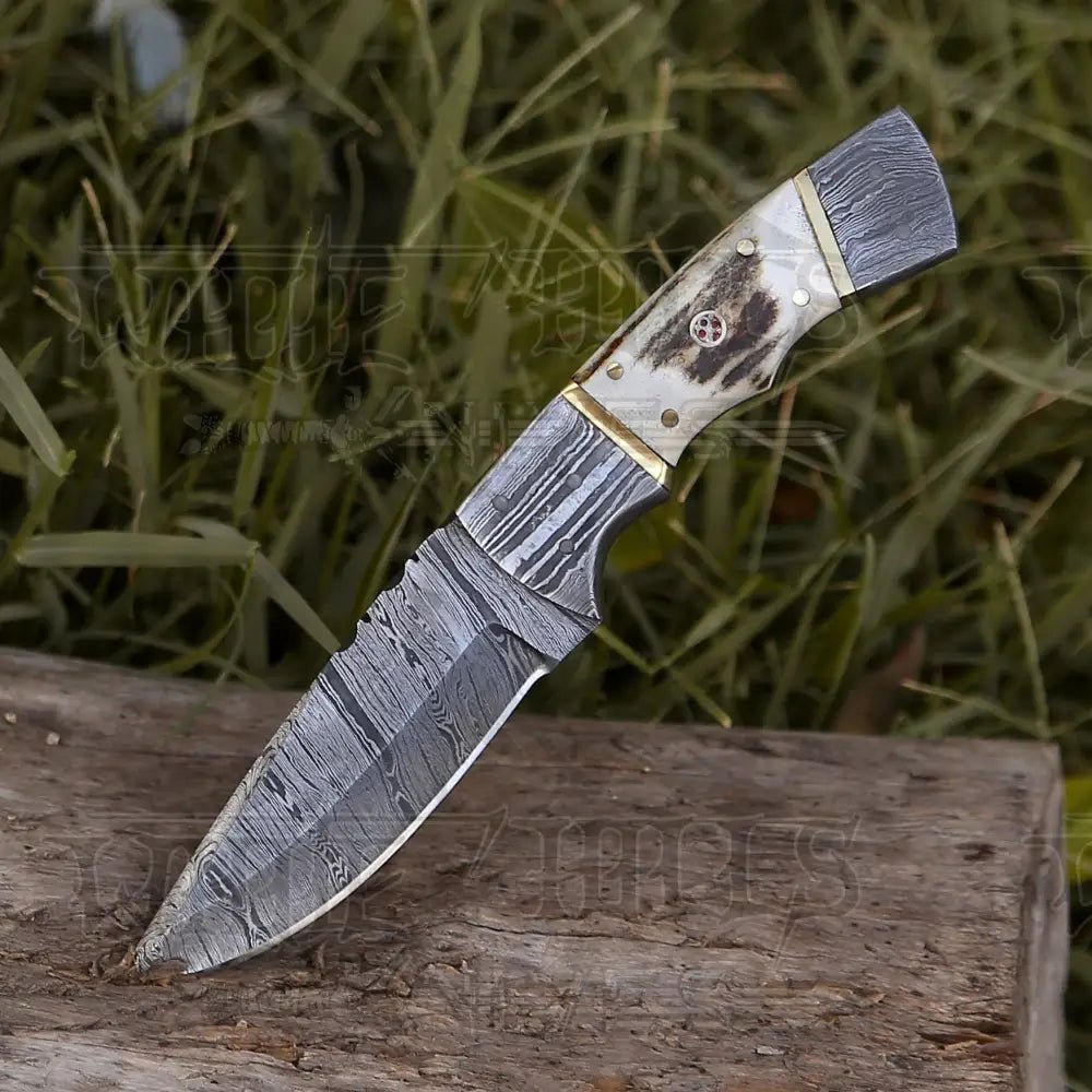 White Hills Knives 8.5” Hand Forged Damascus Steel Full Tang Skinner Knife - Stag Antler Handle - H 018 - Angler's Pro Tackle & Outdoors
