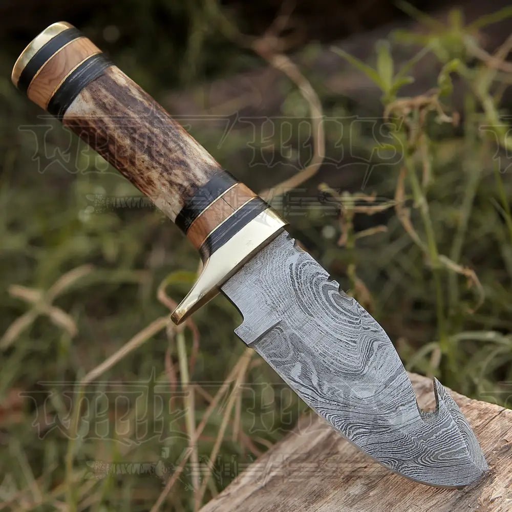 White Hills Knives Custom Hand Made Forged Damascus Steel Gut Hook Hunting Knife With Stag Handle WH 3749 - Angler's Pro Tackle & Outdoors