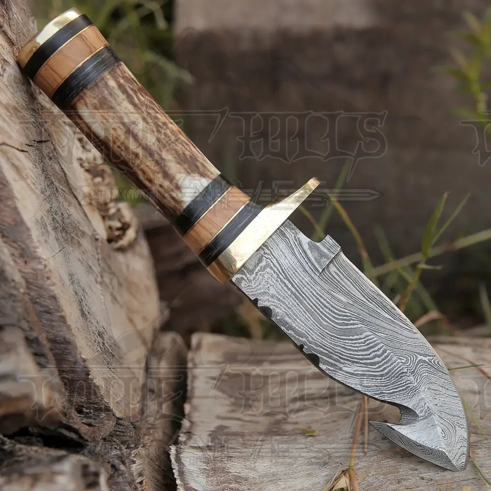 White Hills Knives Custom Hand Made Forged Damascus Steel Gut Hook Hunting Knife With Stag Handle WH 3749 - Angler's Pro Tackle & Outdoors