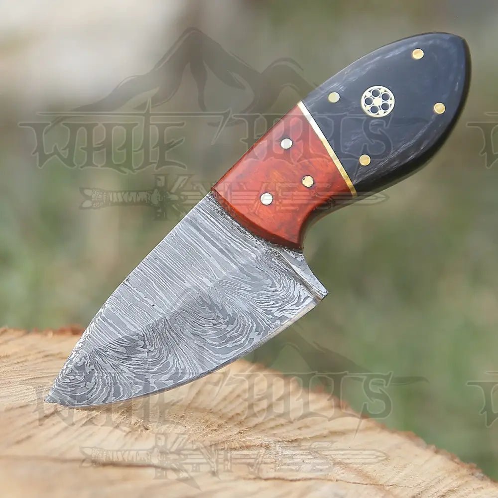 White Hills Knives Handmade Damascus Steel Skinner Knife - Buffalo Horn & Wood Handle - 5.5" Full Tang Damascus Knife - Angler's Pro Tackle & Outdoors