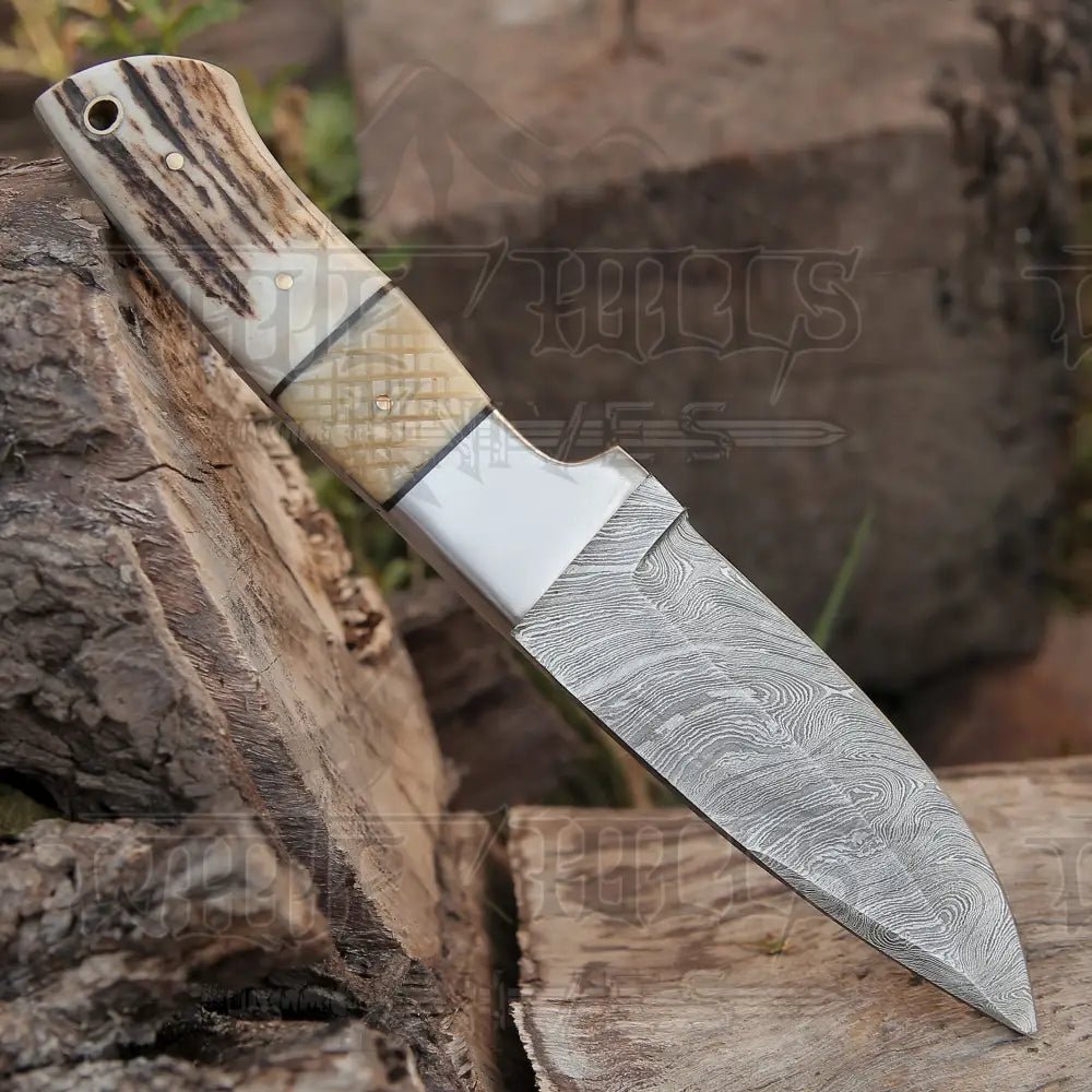 White Hills Knives Handmade Forged Damascus Steel Hunting Skinner Knife EDC 9” - V3 With Stag Antler & Engraved Camel Bone Handle WH 4428 - Angler's Pro Tackle & Outdoors