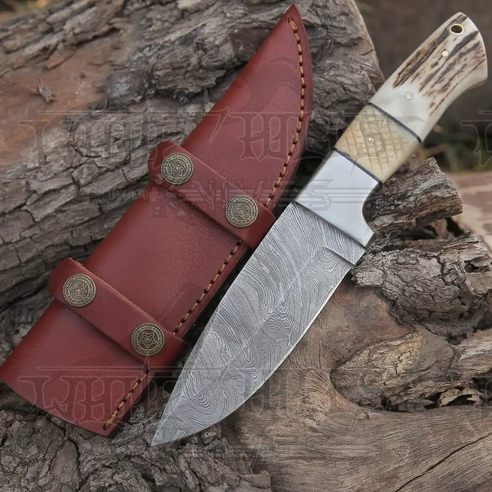 White Hills Knives Handmade Forged Damascus Steel Hunting Skinner Knife EDC 9” - V3 With Stag Antler & Engraved Camel Bone Handle WH 4428 - Angler's Pro Tackle & Outdoors