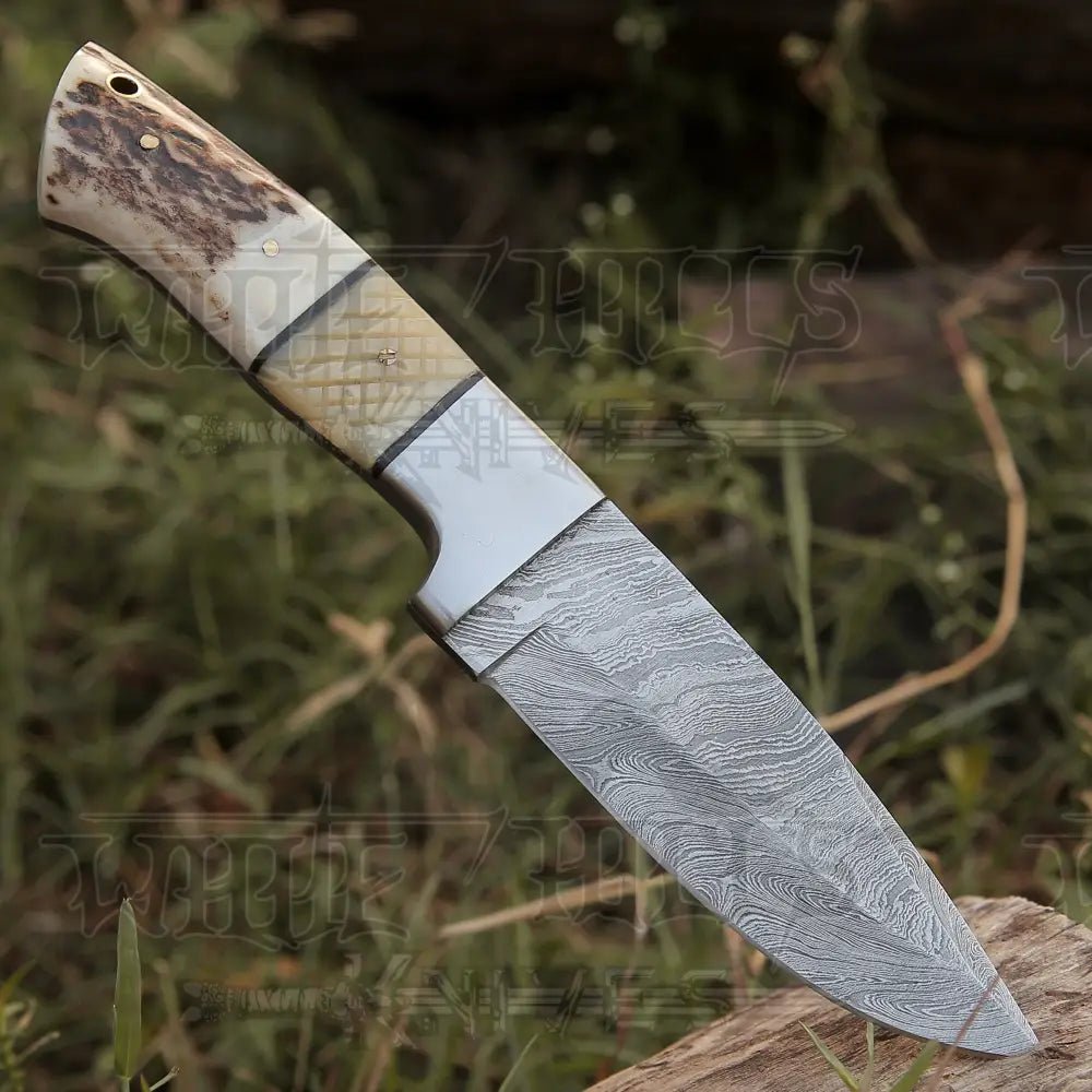 White Hills Knives Handmade Forged Damascus Steel Hunting Skinner Knife EDC 9” - V3 With Stag Antler & Engraved Camel Bone Handle WH 4428 - Angler's Pro Tackle & Outdoors