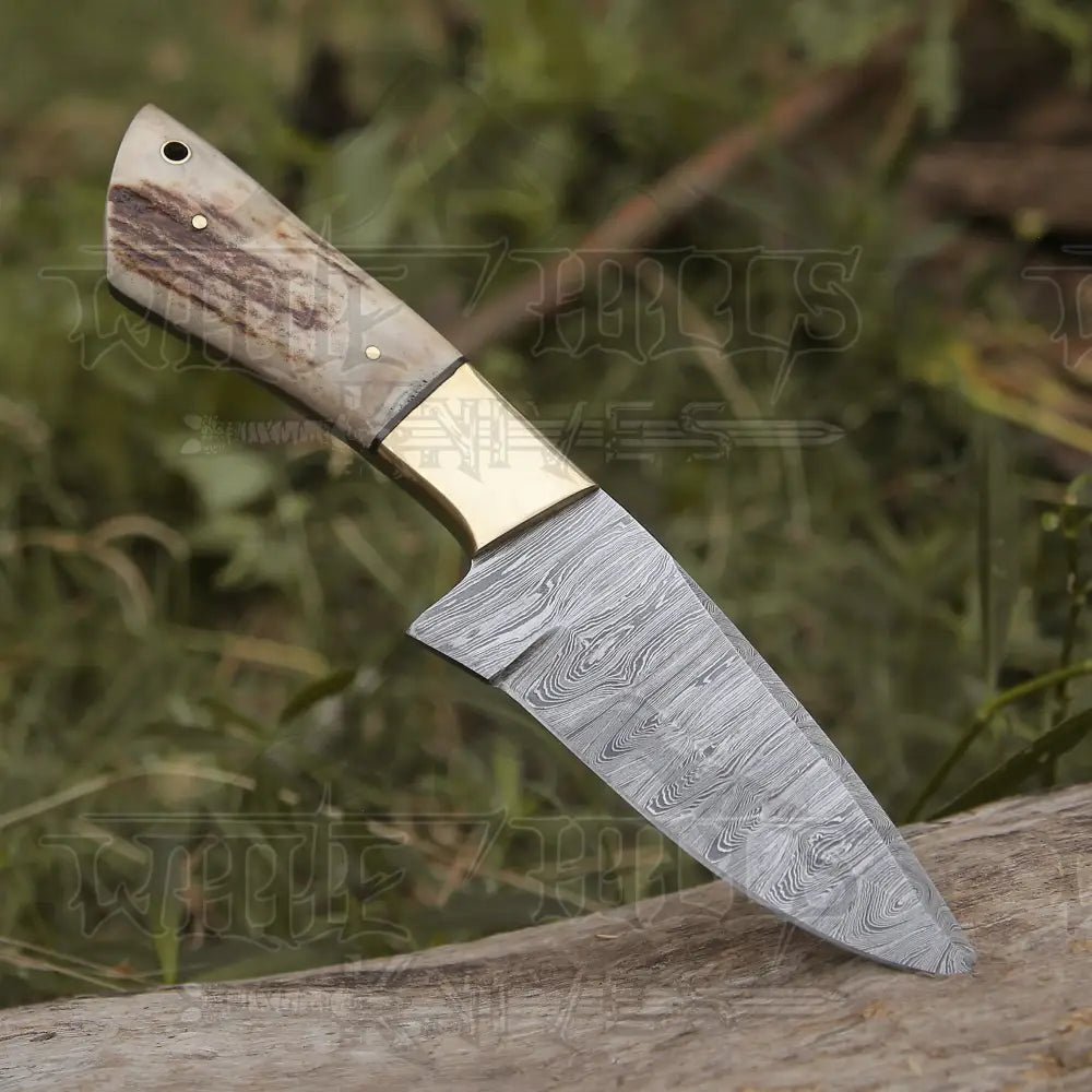 White Hills Knives Handmade Forged Damascus Steel Hunting Skinner Knife EDC 9” V3 With Stag Antler & Engraved Camel Bone Handle WH 4429 - Angler's Pro Tackle & Outdoors