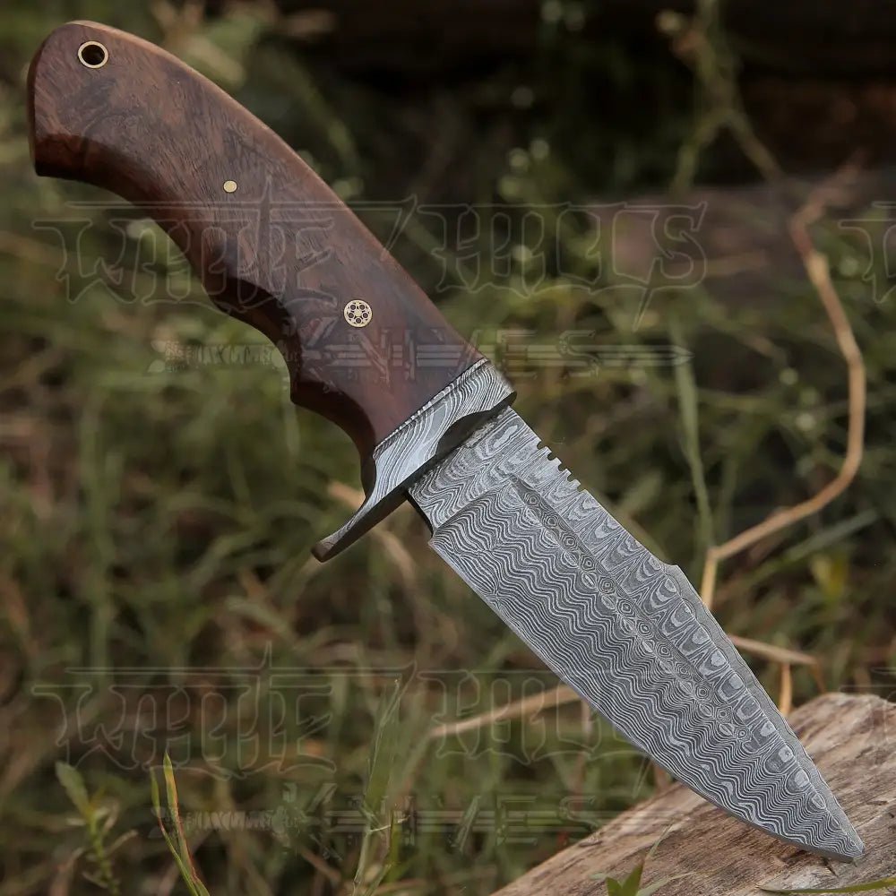 White Hills Knives Handmade Hunting Bushcraft Knife Forged Damascus Steel Survival EDC 10” With Wallnut Wood Handle - Angler's Pro Tackle & Outdoors