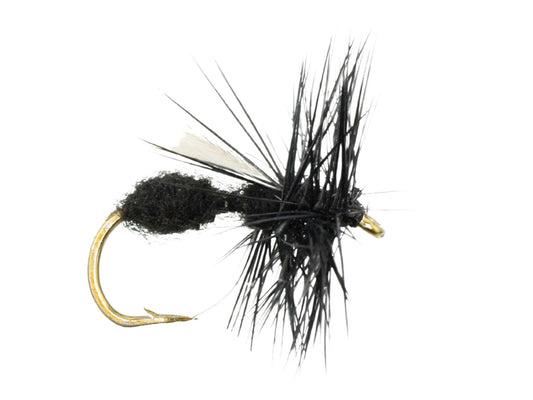 Wild Water Fly Fishing Winged Black Ant, Size 12, Qty. 6 - Angler's Pro Tackle & Outdoors