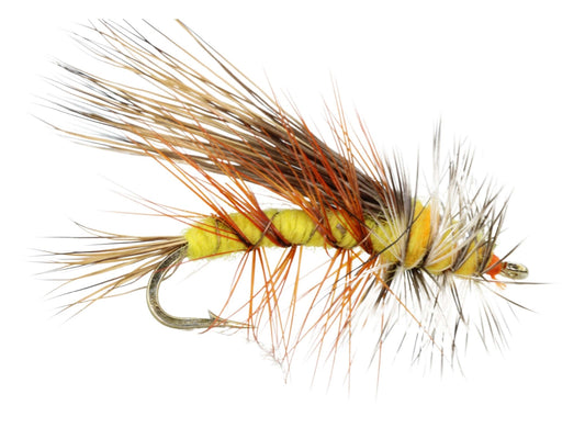 Wild Water Fly Fishing Yellow Stimulator, Size 12, Qty. 6 - Angler's Pro Tackle & Outdoors