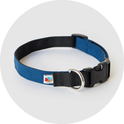 Wildebeest Funston Dog Collar - Angler's Pro Tackle & Outdoors