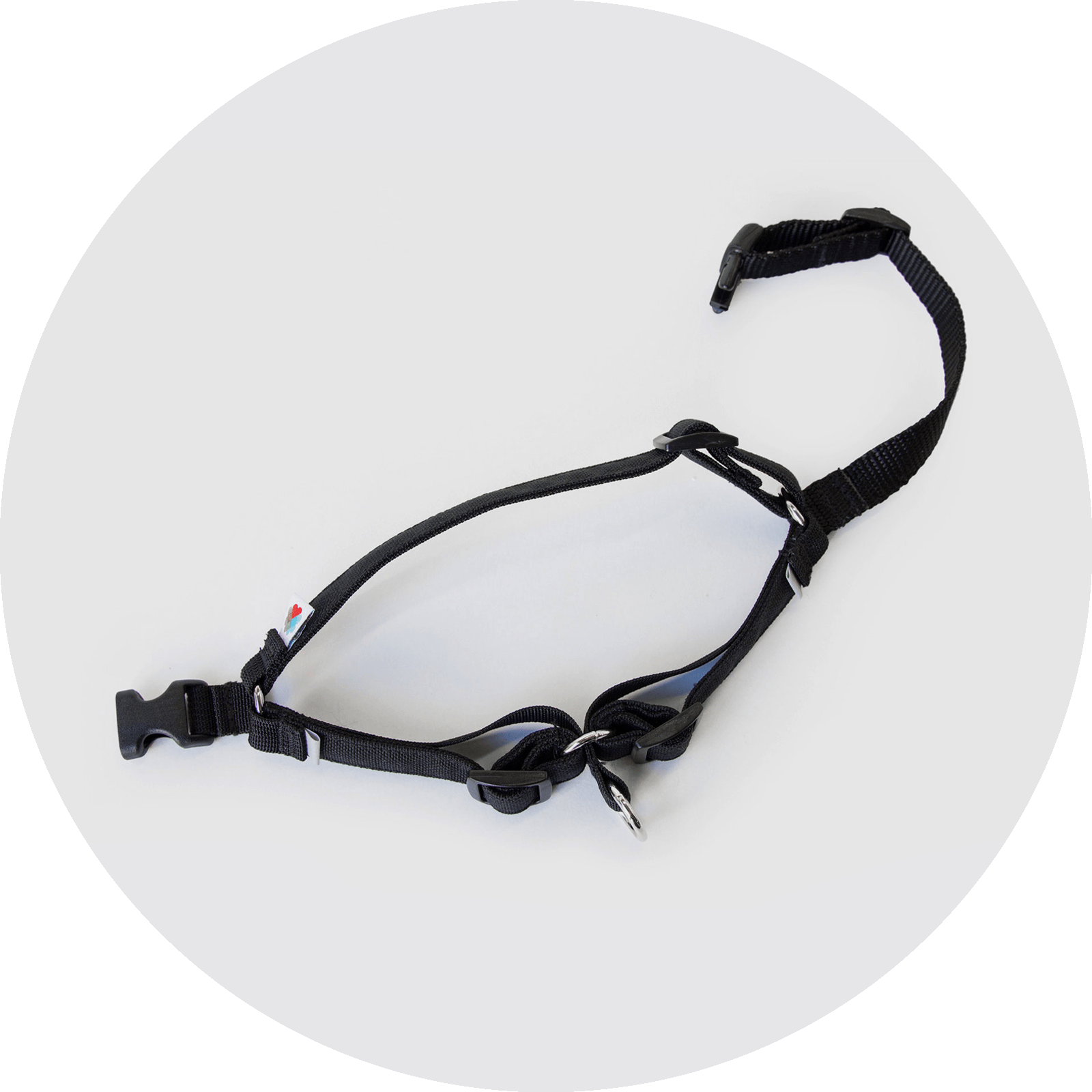 Wildebeest Linden No Pull Dog Harness - Angler's Pro Tackle & Outdoors