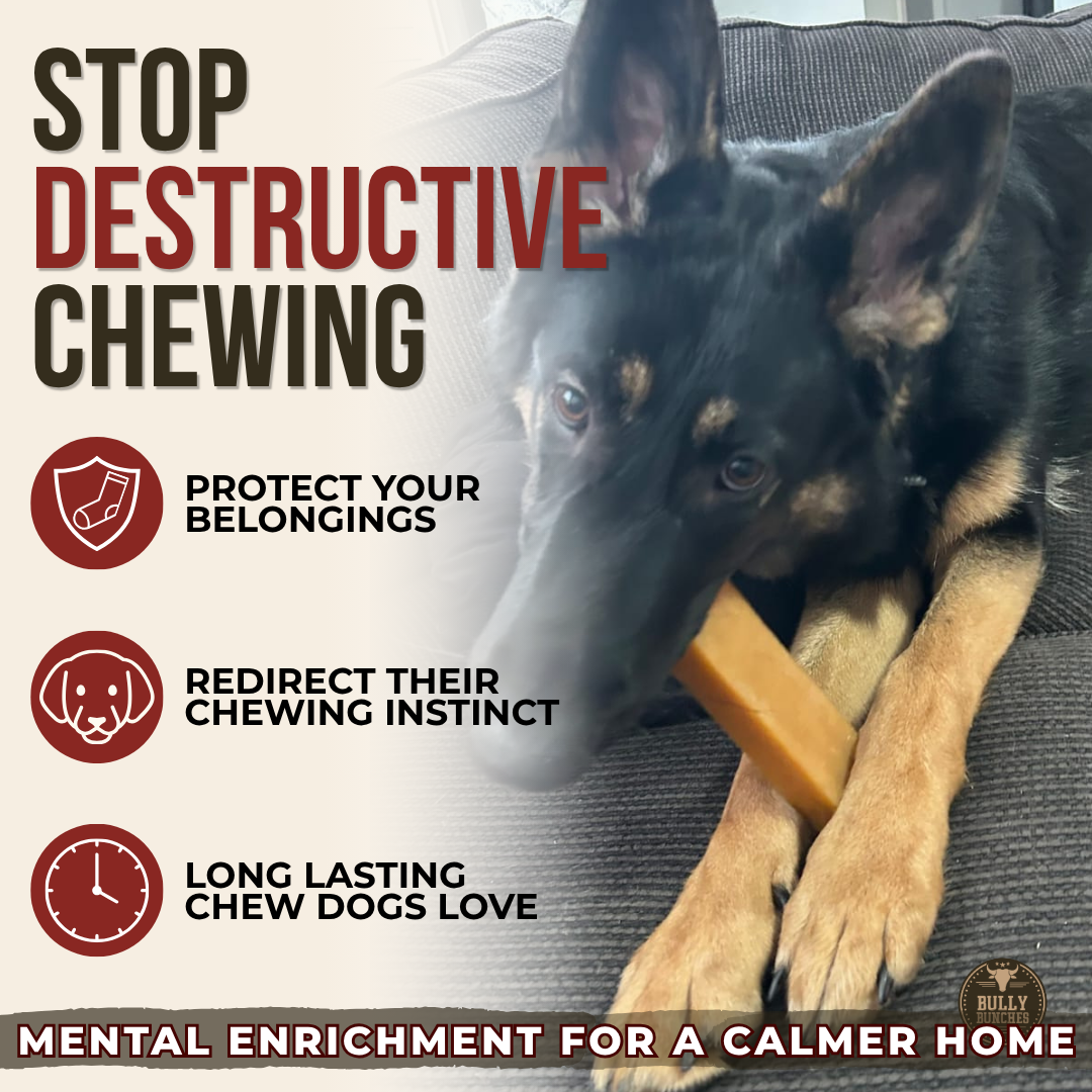 Bully Bunches - Himalayan Yak Chew (EXTRA LARGE)
