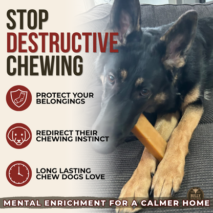 Bully Bunches - Himalayan Yak Chew (EXTRA LARGE)