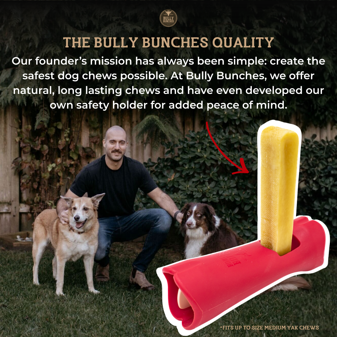 Bully Bunches - Blueberry Himalayan Yak Chew (MEDIUM)